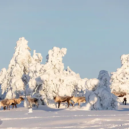 Hiihtaejaenkuja 5 B 3 Visit *