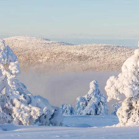 Hiihtaejaenkuja 5 B 3 Visit *