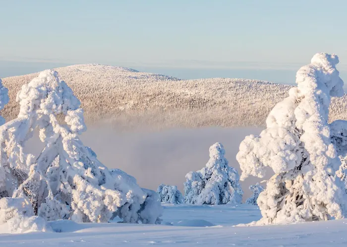 Hiihtäjänkuja 5 B 3 Visit *